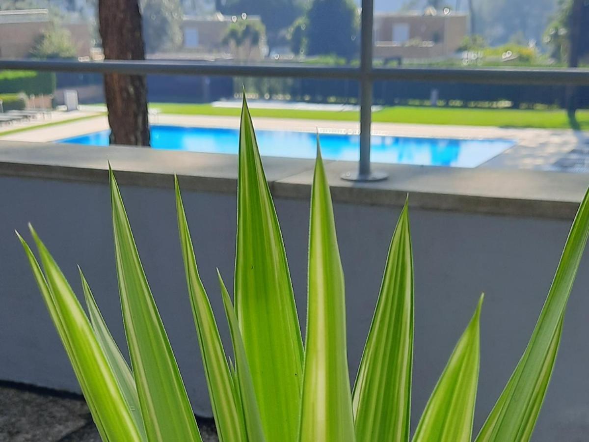 Barca House - Nature - Golf - Pool & Beach Esposende Exterior foto